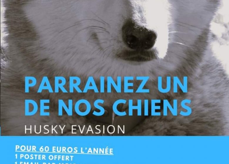 Husky-ontsnapping: sponsoring