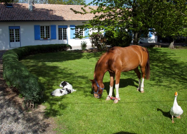 gastenkamers en table d'hôtes op het platteland bij St-Lizier