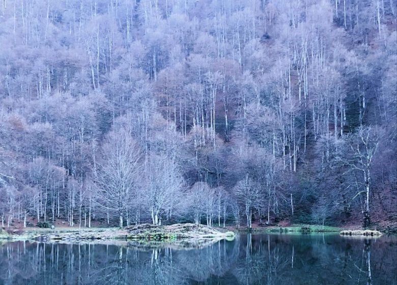 Ayet-Lac de Bethmale a l'hivern