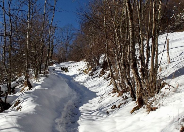 Tour of the Mail des Morères in winter