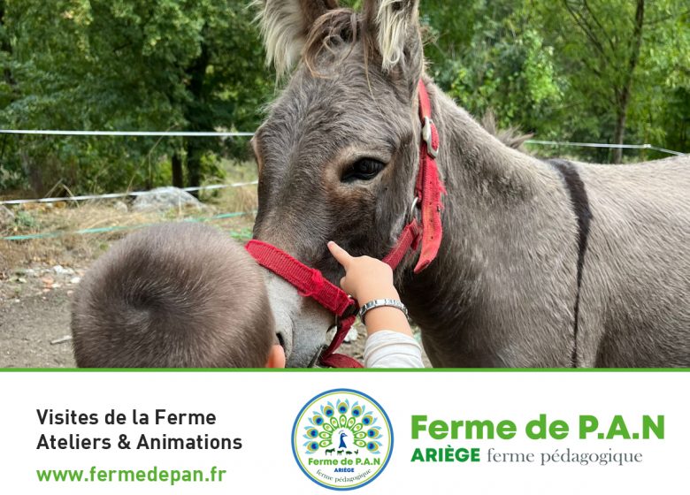 Visite de la ferme de P.A.N.