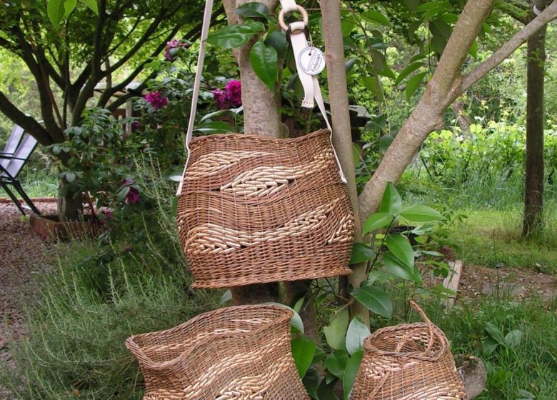 Basketry Lolosier
