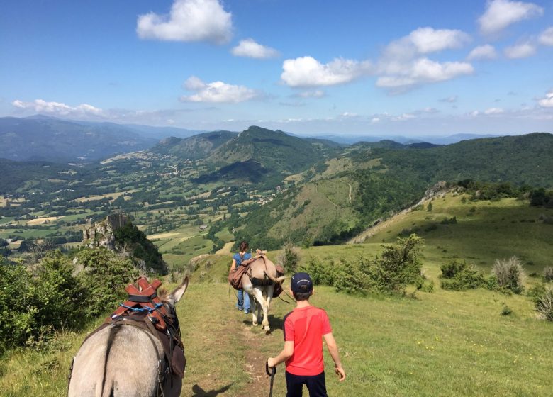 Escap'ânes in the Cathar Pyrenees