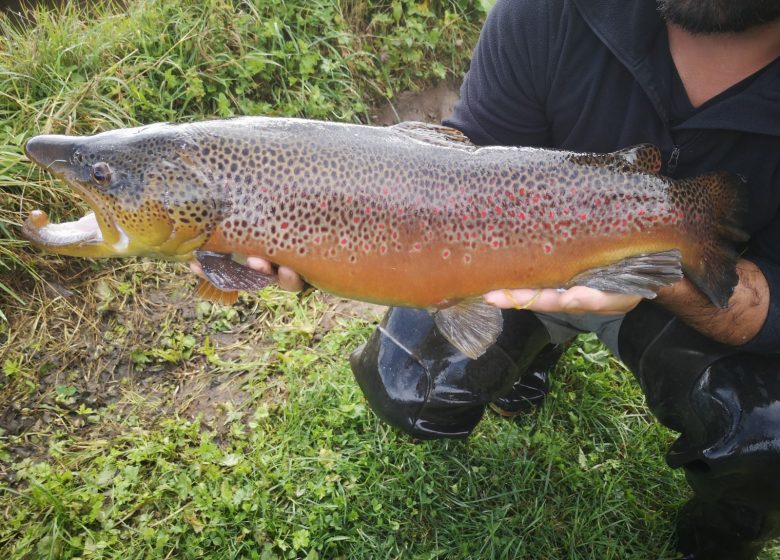 Granja acuícola Aston Trout