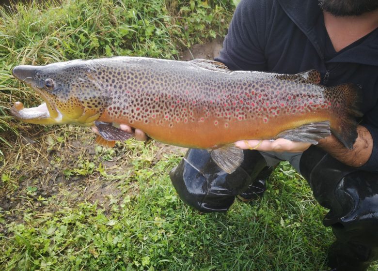 Aston Trout aquaculture farm