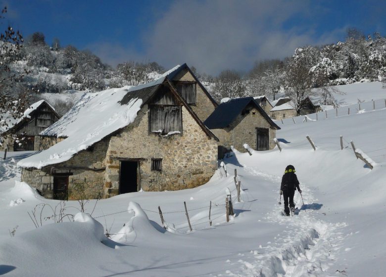 Sarrat de Balagué a l'hivern