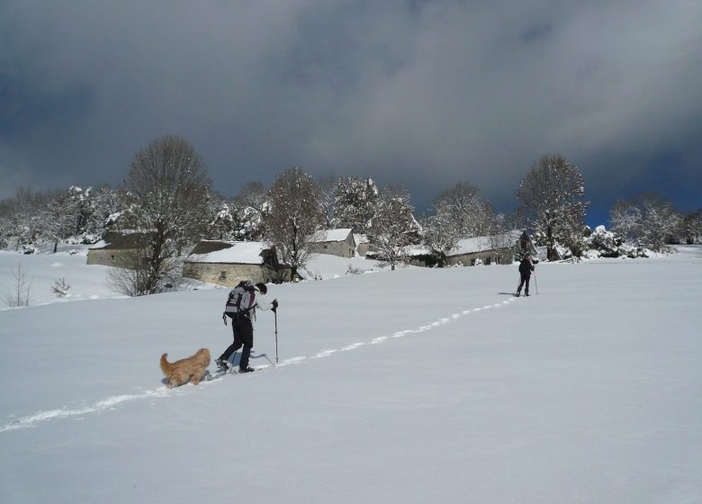 Sarrat de Balagué en hiver