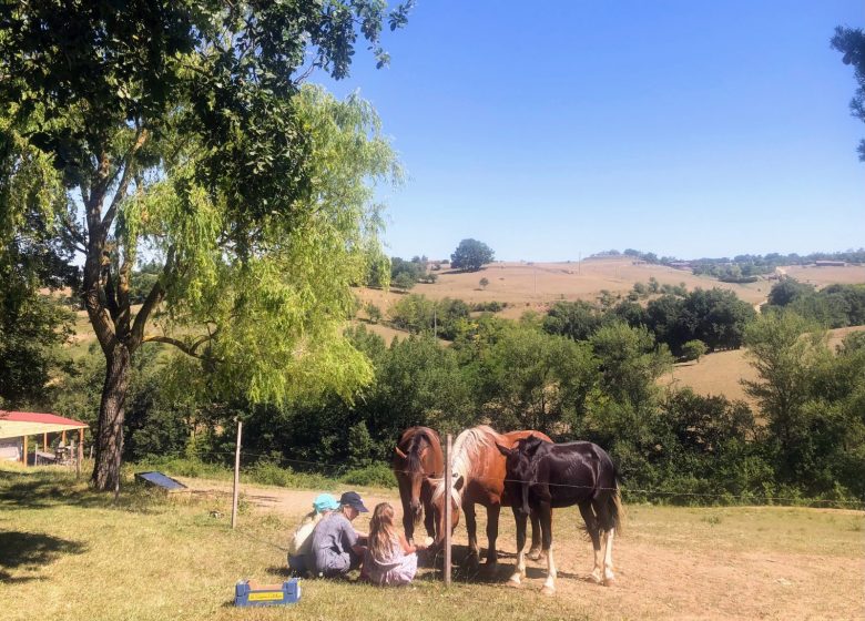 Casa rural Romarin – Domaine du Cammazet