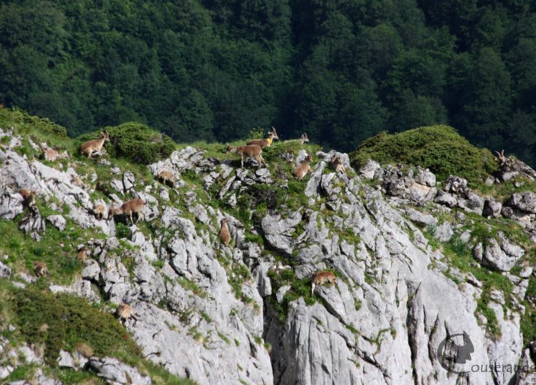 Couserando Nature Hike – Piccolo mondo di rocce