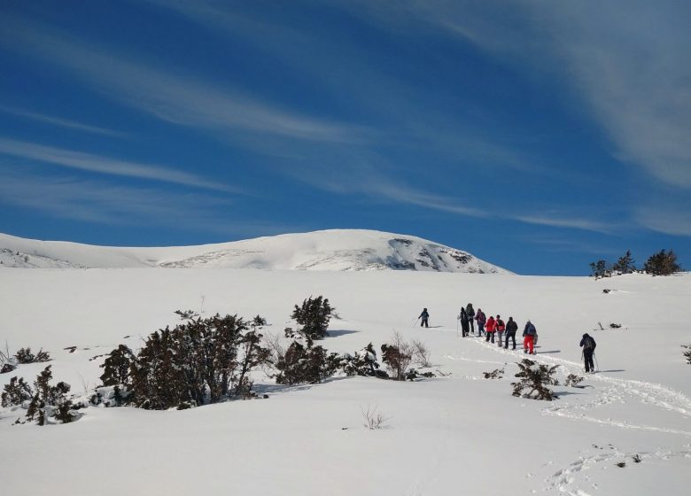 Half day snowshoeing