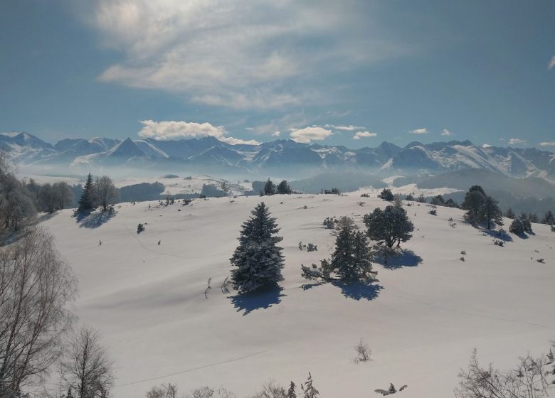 Dia amb raquetes de neu