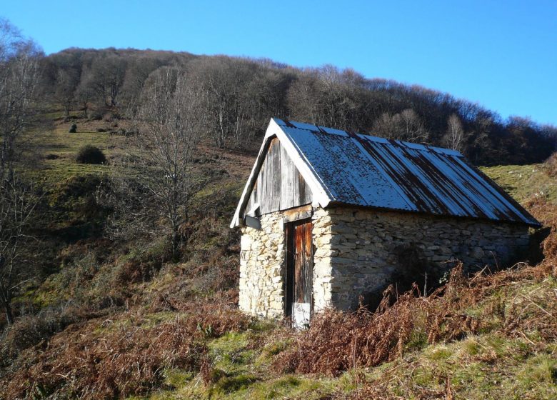 White Mail Tower