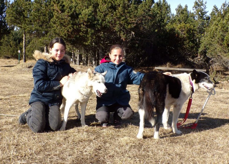 HUSKY EVASION los pequeños meuscheurs