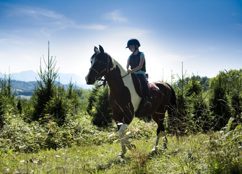 Equestrian center “Les Crins en soi” – Nature Cheval