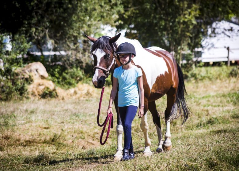 Manege “Les Crins en soi” – Natuur Cheval