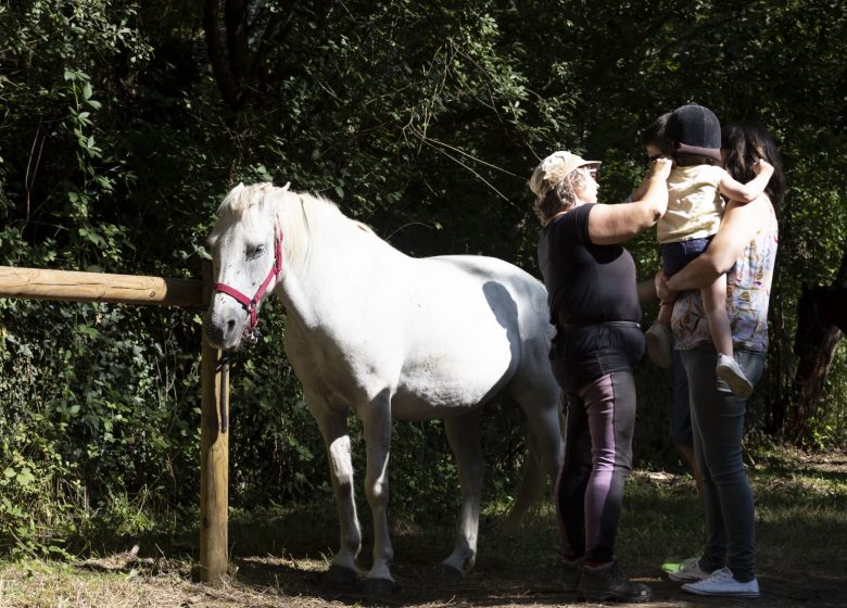 Equestrian center “Les Crins en soi” – Nature Cheval