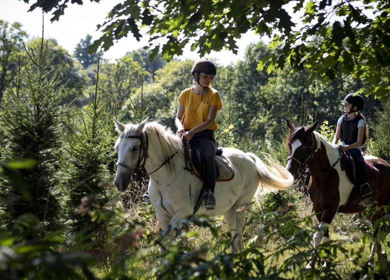 Centro equestre “Les Crins en soi” – Nature Cheval