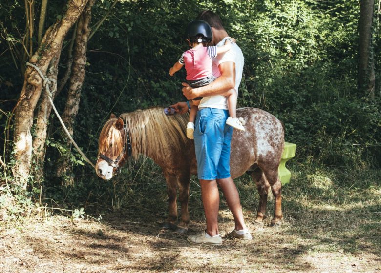 Manege “Les Crins en soi” – Natuur Cheval