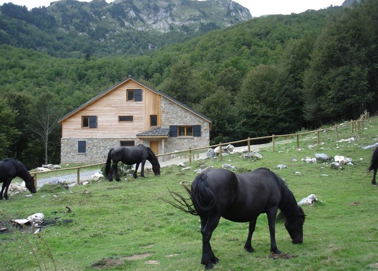 Forest lodge of Terre d'Avenir
