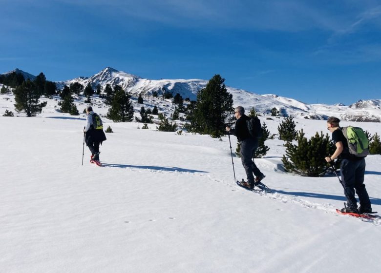 Sneeuwschoenwandelen met Pyreneeënexcursies