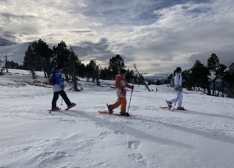 Excursions amb raquetes de neu amb els Pirineus