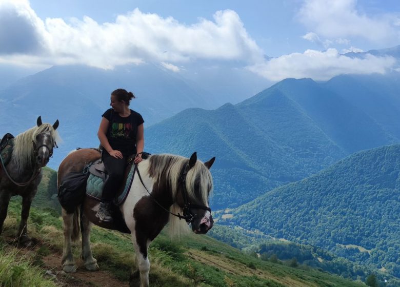 Les chevaux de la Spone