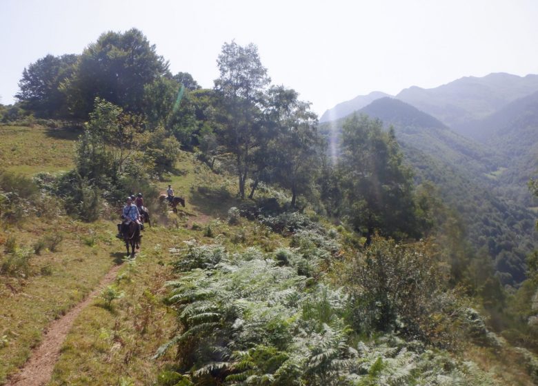 Els cavalls de Spone Rutes a cavall i passejades a cavall