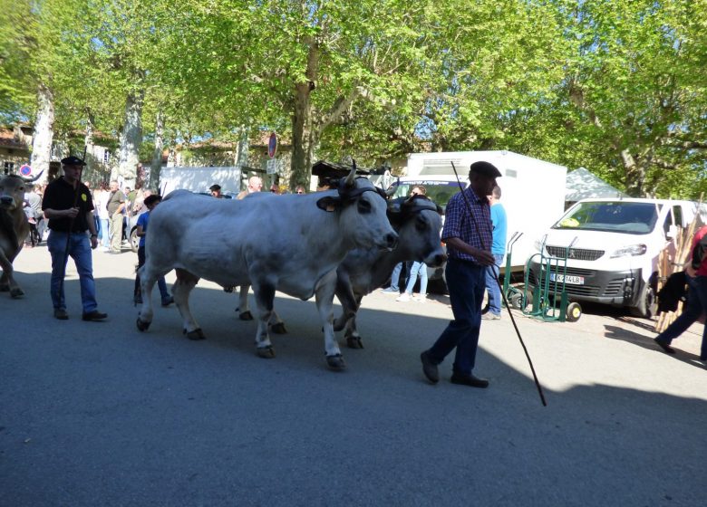 Foire agricole