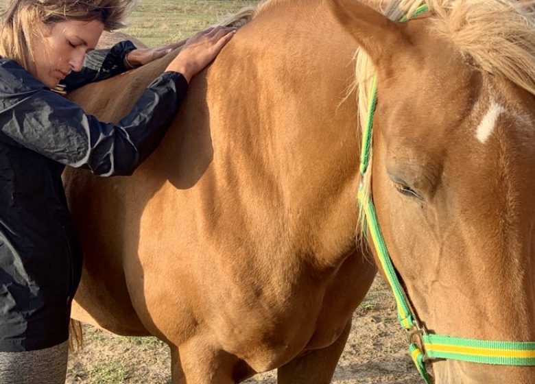 Le Monde d’Alizée – Retraite Cheval et Yoga