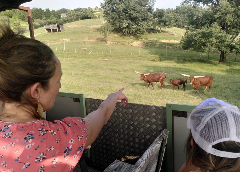 La Ferme aux Bisons