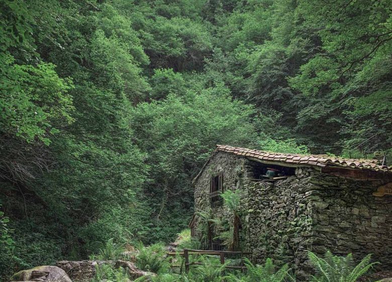 Associació Moulin de la Laurède