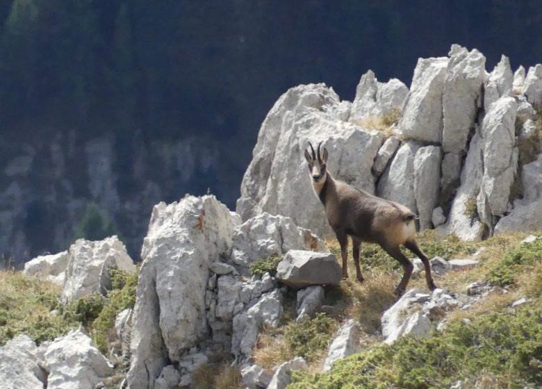 Guías de montaña Couserans