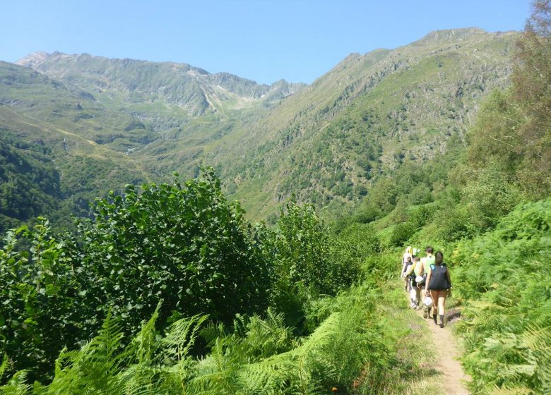 Canyoning avec Montcalm Aventure