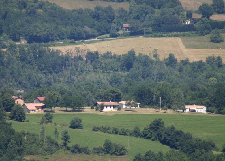 Casa Rural De La Forêt Royale
