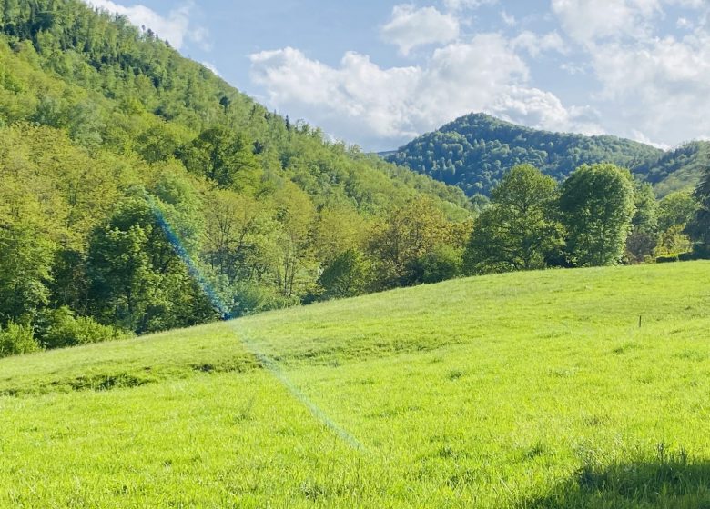 El estudio del valle verde.