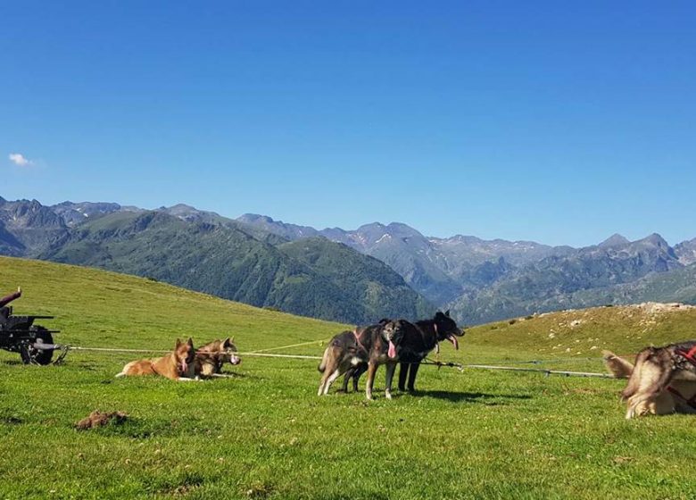 Cani-kart avec Angaka Village Nordique