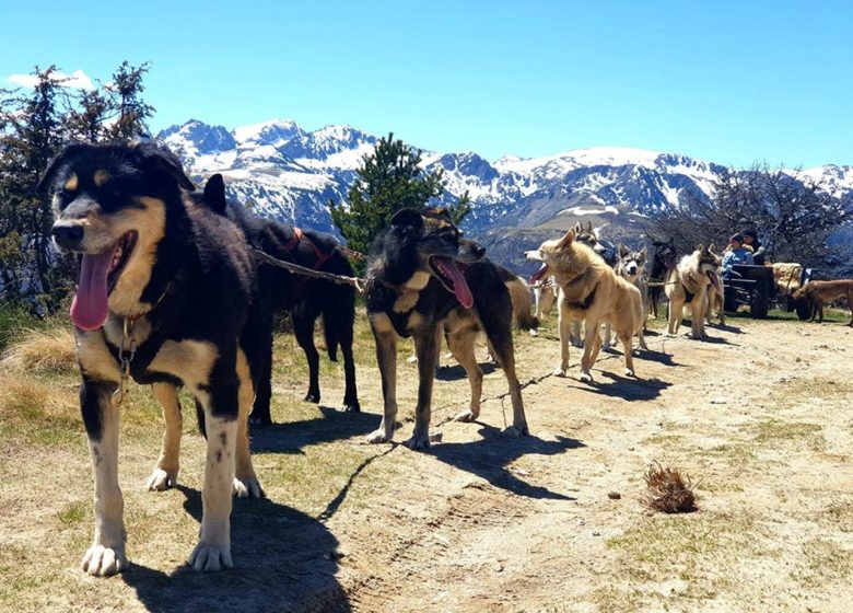 Cani-kart met Angaka Village Nordique