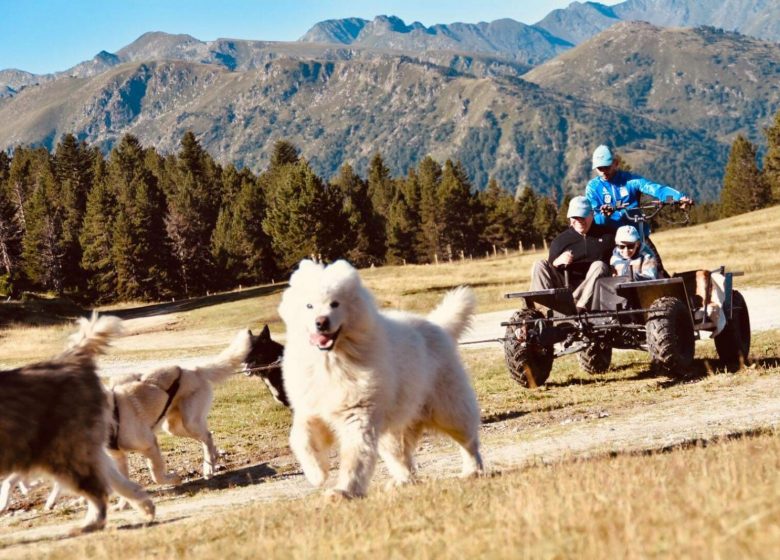 Cani-kart avec Angaka Village Nordique