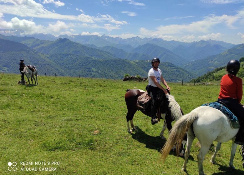 Mother’s Day with the horses of Crins en Soi – horse nature