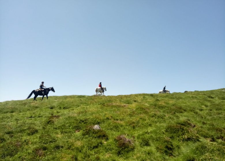 Passeggiate a cavallo con l'allevamento di cavalli di Thomas ed Elsa