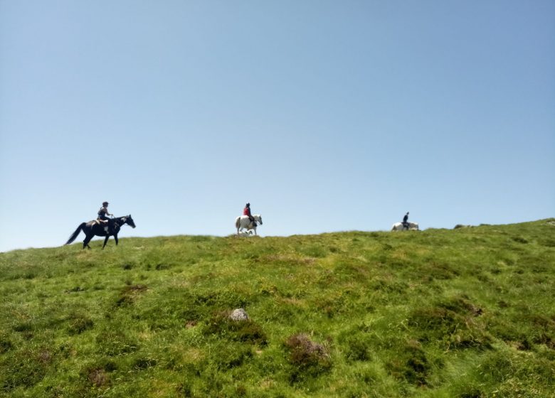 Montar a caballo con la granja de caballos de Thomas y Elsa