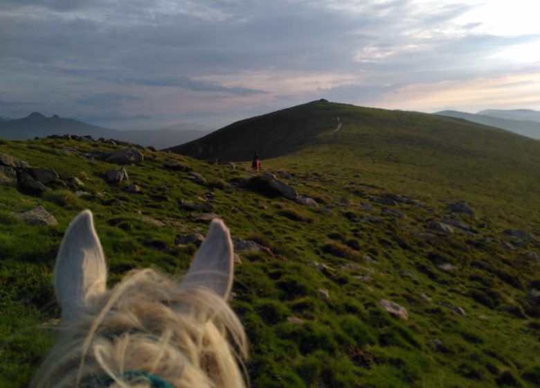 Horse riding with Thomas and Elsa's horse farm