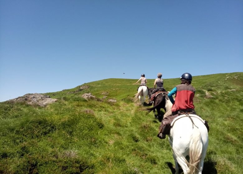 Horse riding with Thomas and Elsa's horse farm