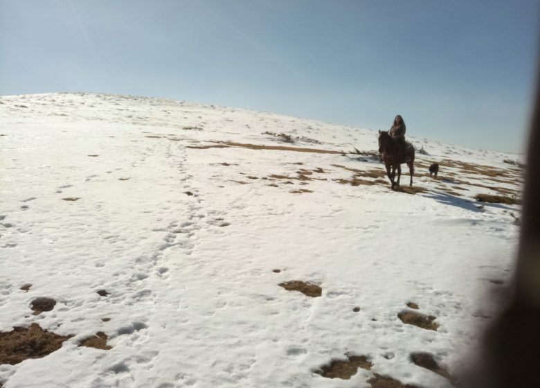 Paardrijden met de paardenboerderij van Thomas en Elsa