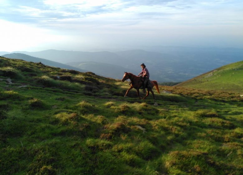 Montar a caballo con la granja de caballos de Thomas y Elsa