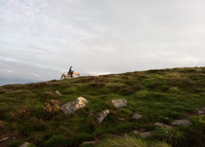 Horse riding with Thomas and Elsa's horse farm