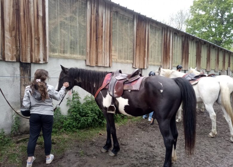 Montar a caballo con la granja de caballos de Thomas y Elsa