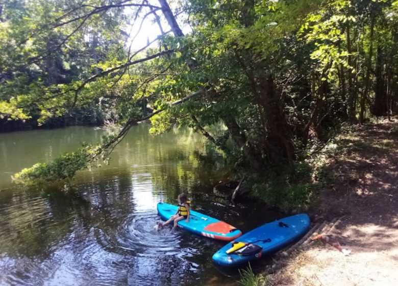 Alquiler de Stand Up Paddle