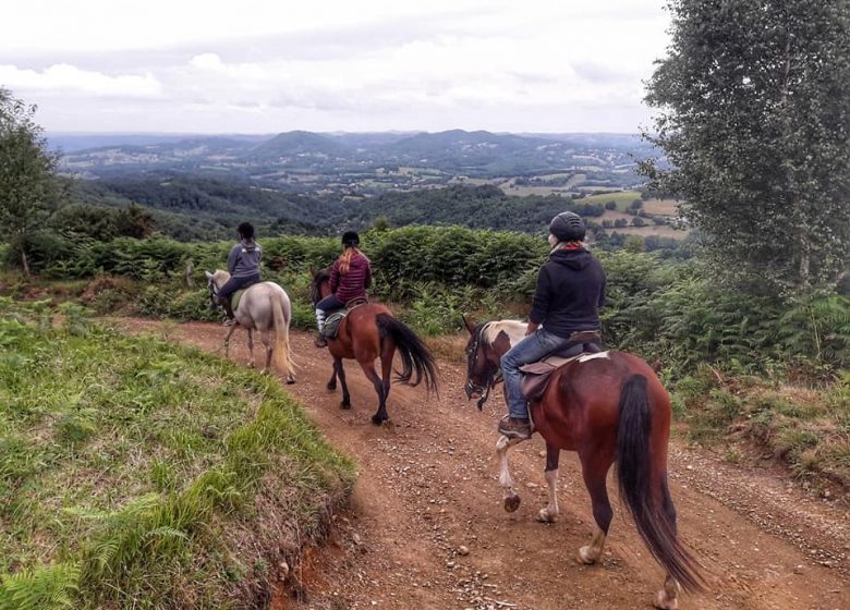 2-day hike with Les Crins en Soi – Nature Cheval