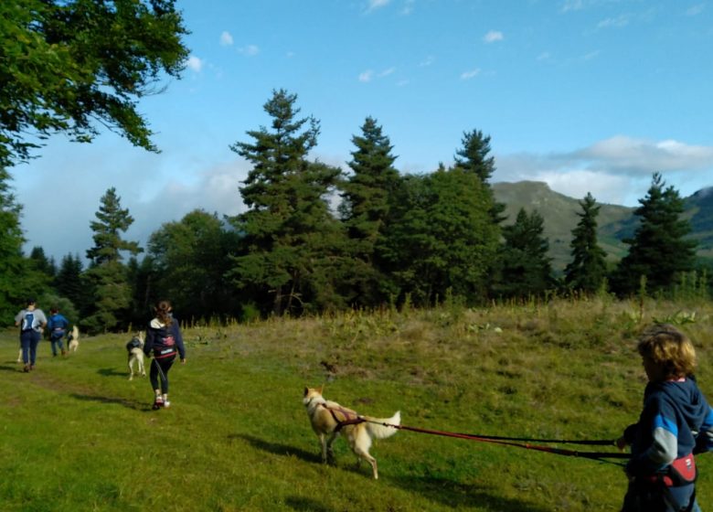 La Cani-randonnée – Terre sauvage